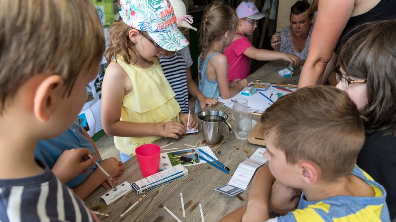 Kurs: Von der Regenwolke zum Wasserhahn - der Weg des Trinkwassers (Foto: Junior Uni / Wilfried Kuhn)