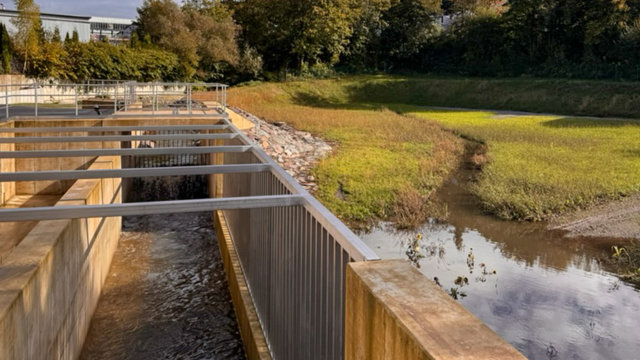 Hochwasser und Regenrueckhaltebecken Bornberg