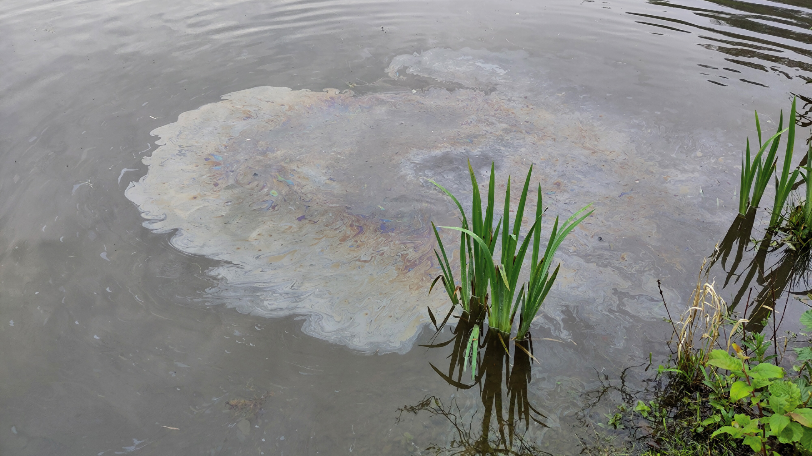 Schillernder Film auf der Wasseroberfläche: Mineralölfilm oder Biofilm?