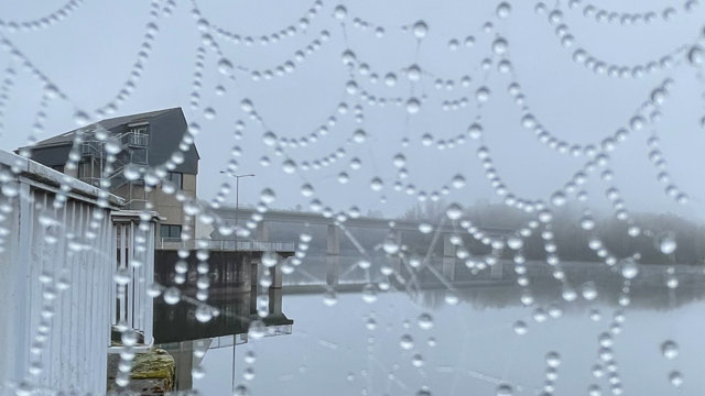 Regen Wupper-Talsperre Spinnennetz